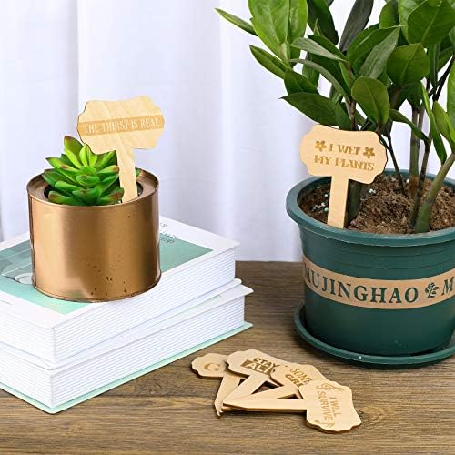 24 Pieces Funny Plant Markers Wooden Plants Labels T-Type Garden Labels Wooden Plant Markers for Vegetable Flowers Garden Potted Plants