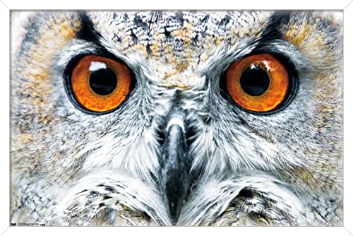 Poster mural Hibou Cloche encadré blanc pour habiller un mur vide