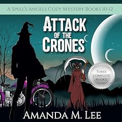 Attack of the Crones Audiolibro Por Amanda M. Lee arte de portada