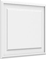 Vista 96 de Ekena Millwork Panel de pared decorativo de 16 pulgadas de ancho x 12 pulgadas de alto x 5/8 pulgadas de alto