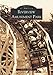 Riverview Amusement Park (Images of America)