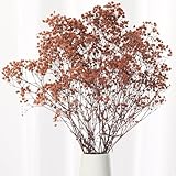 Babys Breath Dried Flowers Bouquet-17'' 1800+ Ivory Dry Flowers, Natural Gypsophila Branches for Wedding, Home Table Vase Decor, DIY Wreath Floral, Fall Thanksgiving Autumn Decoration (Brown, 2oz)