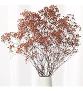 Babys Breath Dried Flowers Bouquet-17'' 1800+ Ivory Dry Flowers, Natural Gypsophila Branches for ...