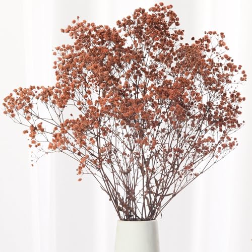 Dried Fall Flowers