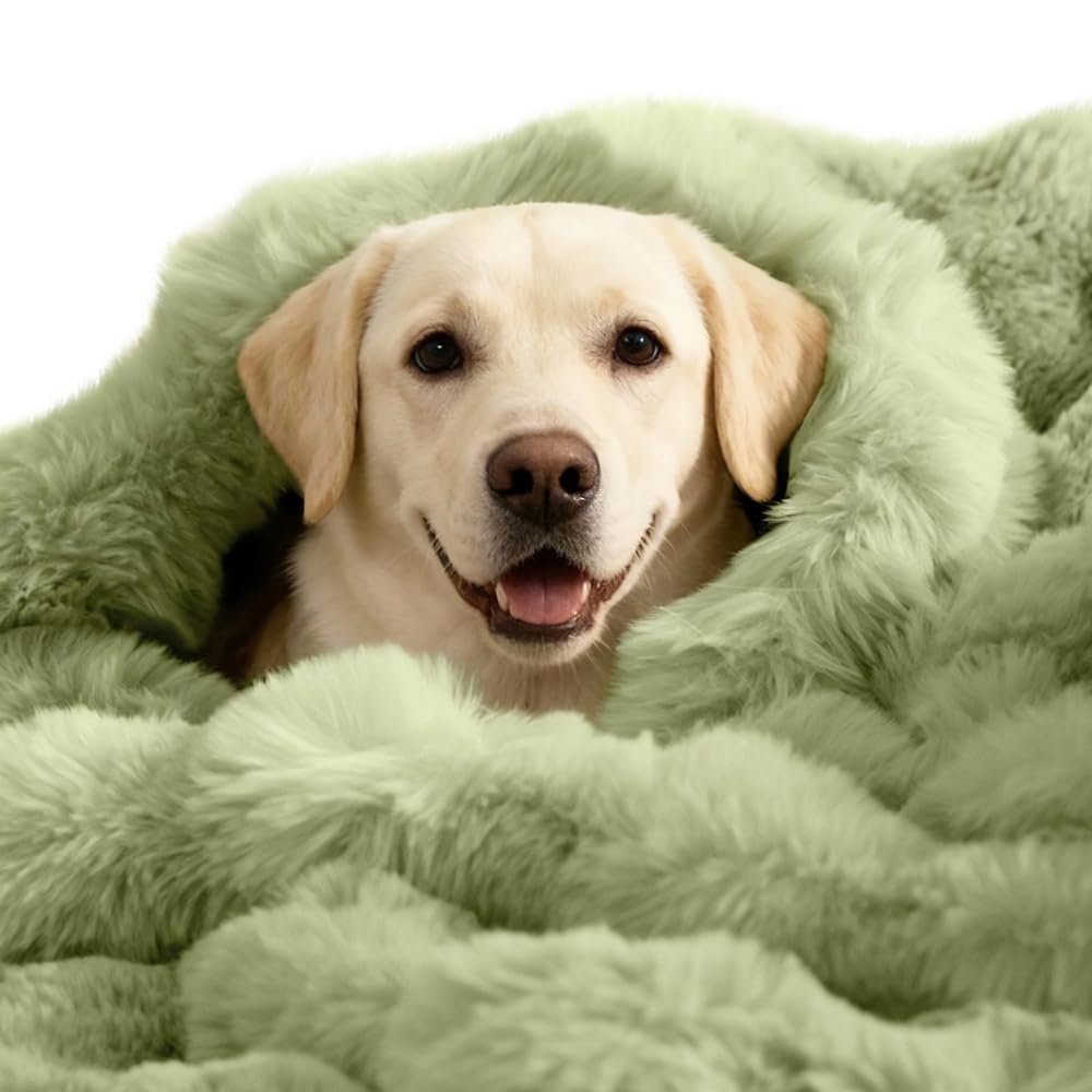 Dog Blanket Ultra Soft Fuzzy Faux Fur Cat Blankets for Indoor Cats Ultra Soft Plush Faux Fur Machine Washable Reversible Pet Throw Protector for Couch Furniture 39"X 30" Green