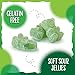 Sour Bears Gummy Candy | 1 Pound Bag | Dye Free Candy | Gelatin Free Soft Green Candies | Jelly Bears for Candy Buffets & Dessert Decorating | Green Apple Flavor
