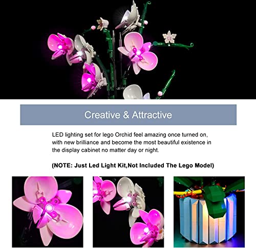 LED Light Set Compatible with Lego 10311 Icons Orchid Set (No Lego Model Included - Image 3