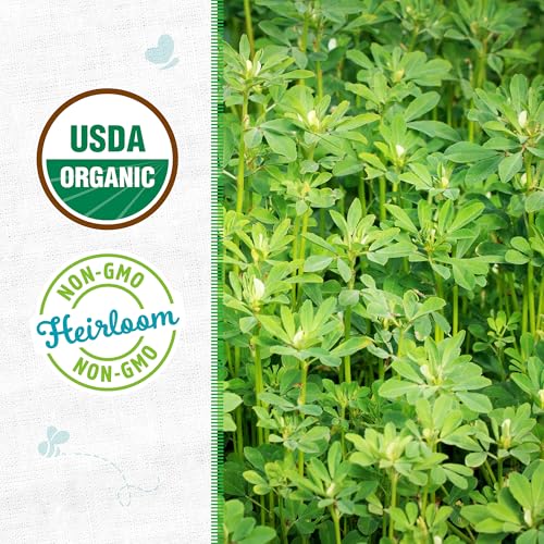 Back to The Roots 100% Organic Heirloom Seeds - Fenugreek Gardening Seeds Value Pack (2g Total) - Image 2