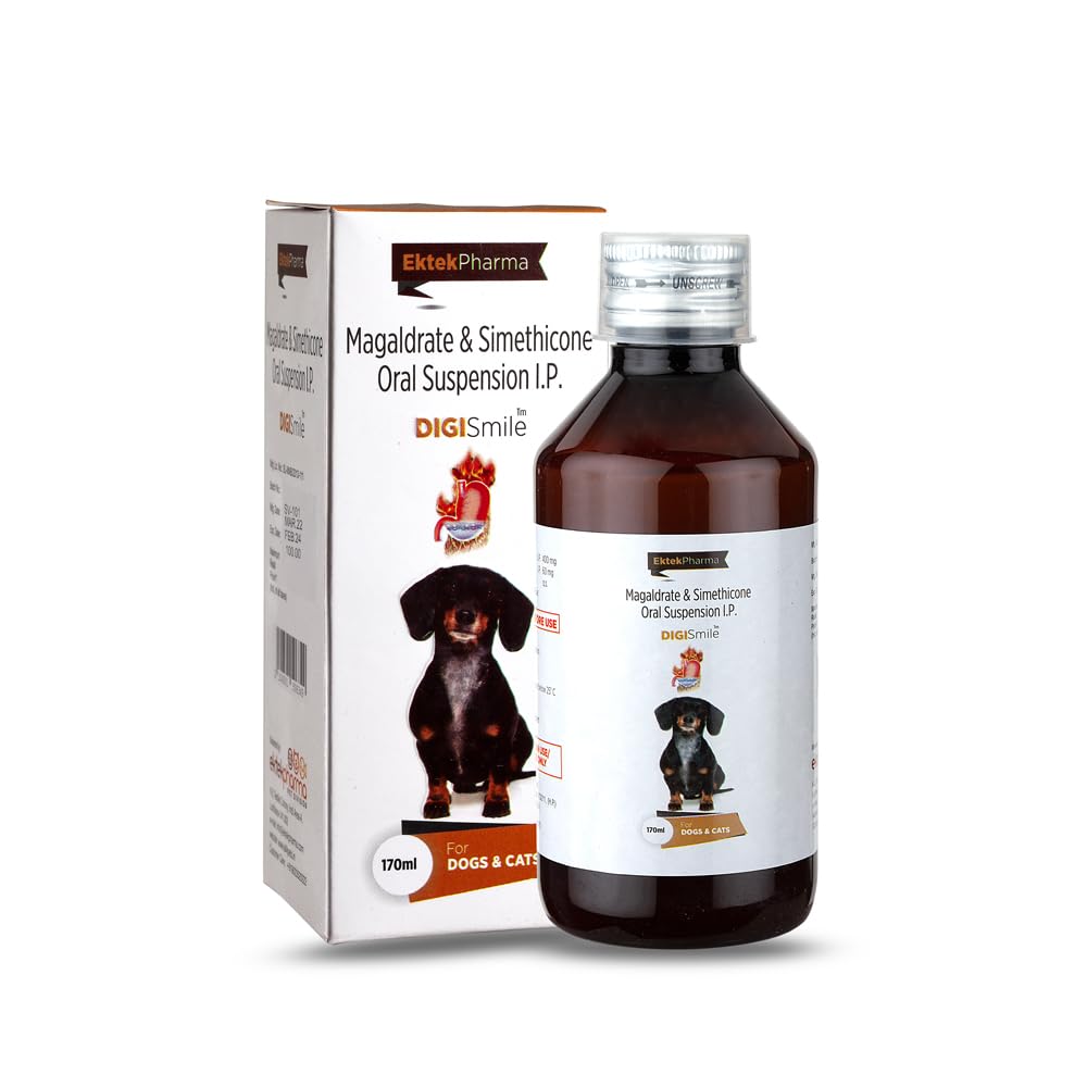 DIGISMILE PET 170ML (B0CYX7PGQX) Amazon Price History, Amazon Price Tracker