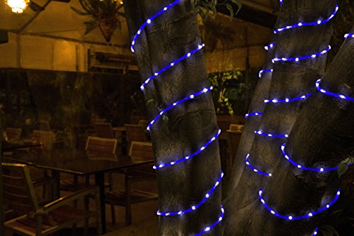 All Occasions Indoor Outdoor Led 16 Ft Total Mini Rope Light Home Commercial Christmas Decoration, Blue #TOP4