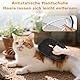 GD HUA 2 Stück Pet Hair Remover Glove, 24 * 16cm Katzen Handschuhe Fellpflege, Fellpflegehandschuh Katze, Double Sided Grooming Glove, Wiederverwendbare Antistatische Handschuhe Doppelseitige