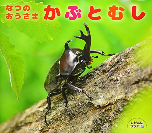 なつのおうさまかぶとむし (しぜんにタッチ!)