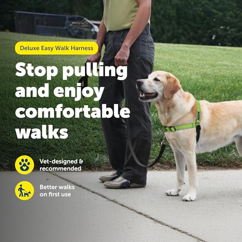 PetSafe Easy Walk Deluxe Dog Harness, No Pull Dog Harness Perfect for Leash & Harness Training Stops Pets from Pulling and Choking on Walks Medium/Large, Apple Green by PetSafe - Image 2