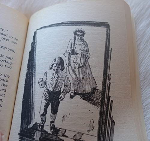 Meg and the Mystery in Williamsburg 0307215474 Book Cover