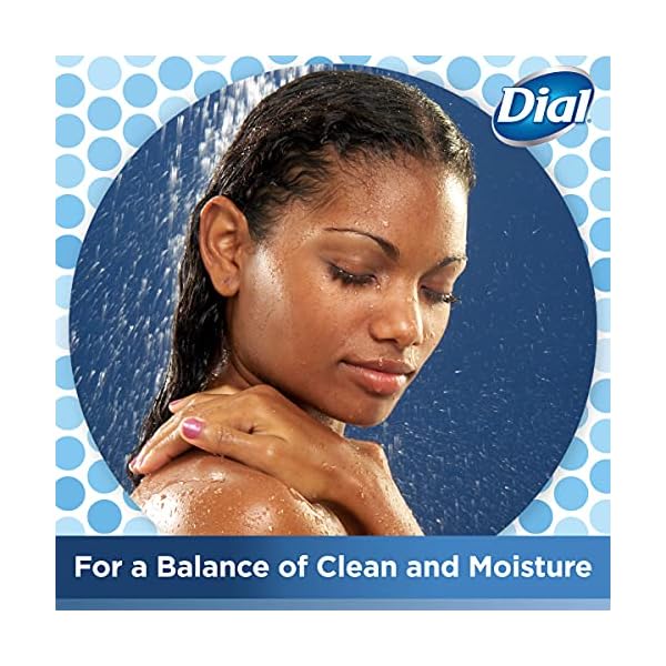 Dial Skin Therapy Body Wash, Himalayan Salt, 21 fl oz (Pack of 4)