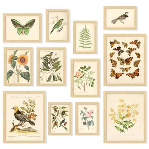 97 Decor Vintage Botanical Wall Art - Vintage...