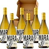 ENOVINOS THE WINE BRAND