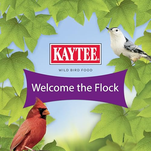 Kaytee Nut & Fruit Wild Bird Seed, 5 lb - image 9