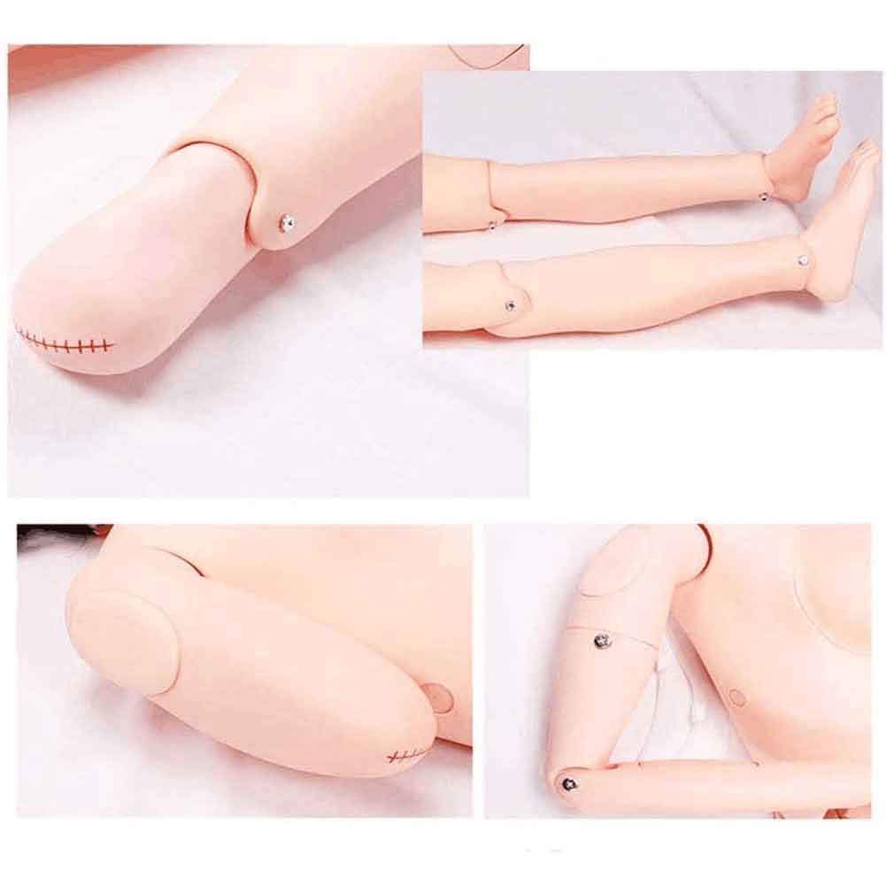 Patientenpflege-Simulator, Pflegepuppe – PVC-Männchenmodell, menschliches anatomisches Demonstrationsmodell – Bildungsbedarf, mit Blutdruckmessung für Schule, Bildung