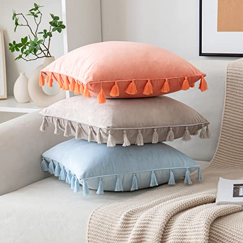 Miulee Pack Of 2 Velvet Soft Solid Decorative Throw Pillow Cover Baby Blue With Tassels Fringe Boho Accent Cushion Case For Couch Sofa Bed 20 X 20 Inch #TOP3