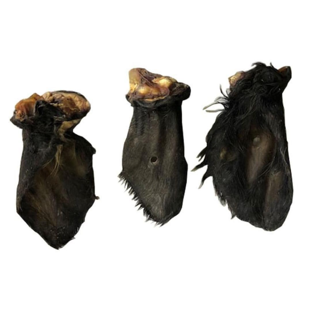 ANIMALUJOS-Snacks Naturales para Perros – Pack 10 Orejas de Ternera con Pelo o sin Pelo – 100% Natural, Bajo en Grasa, Rica en Colágeno y Fibra (10 Unidades, Oreja Ternera con Pelo)
