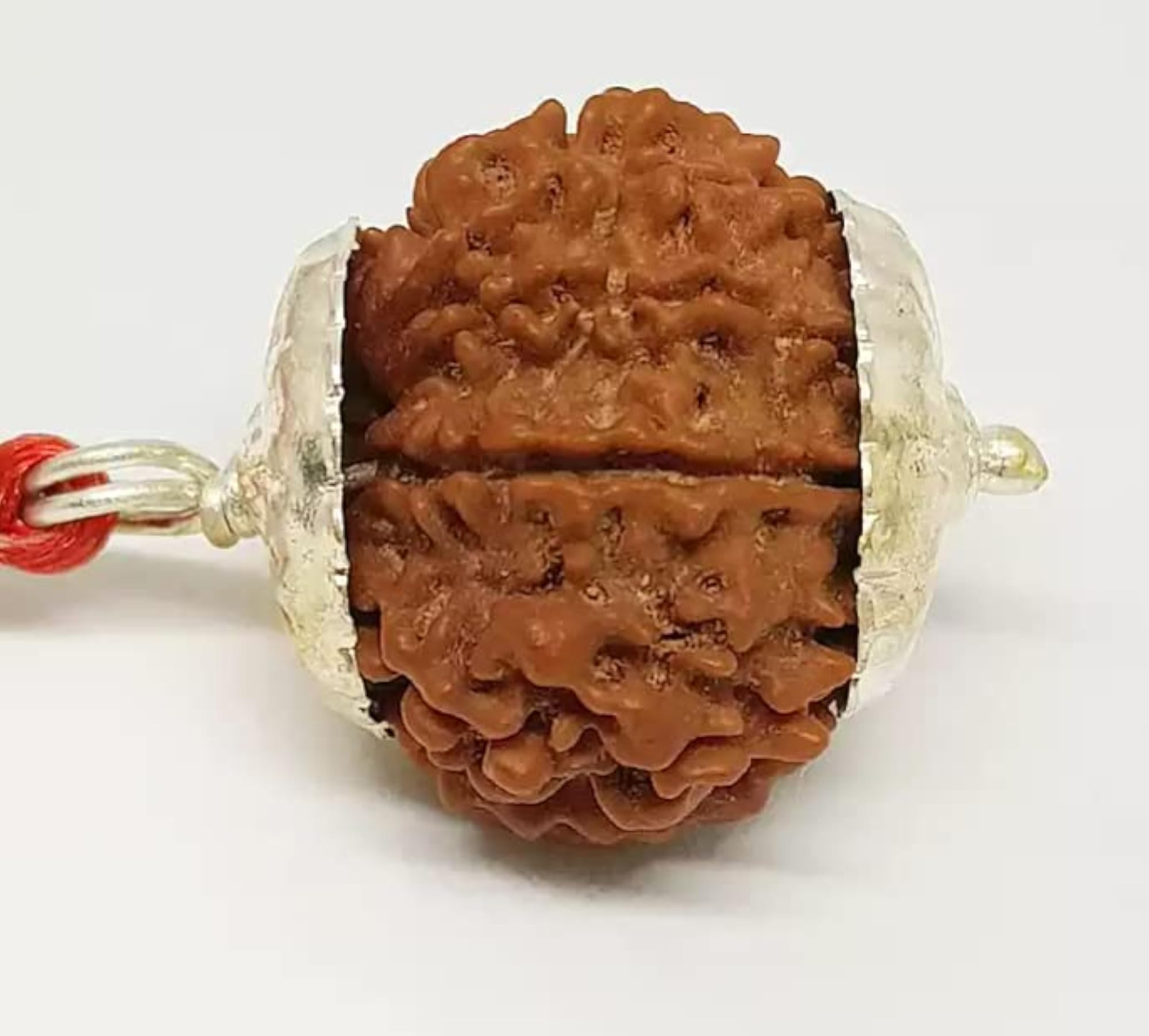 10 Mukhi Rudraksha Original Certified Nepali Big Size