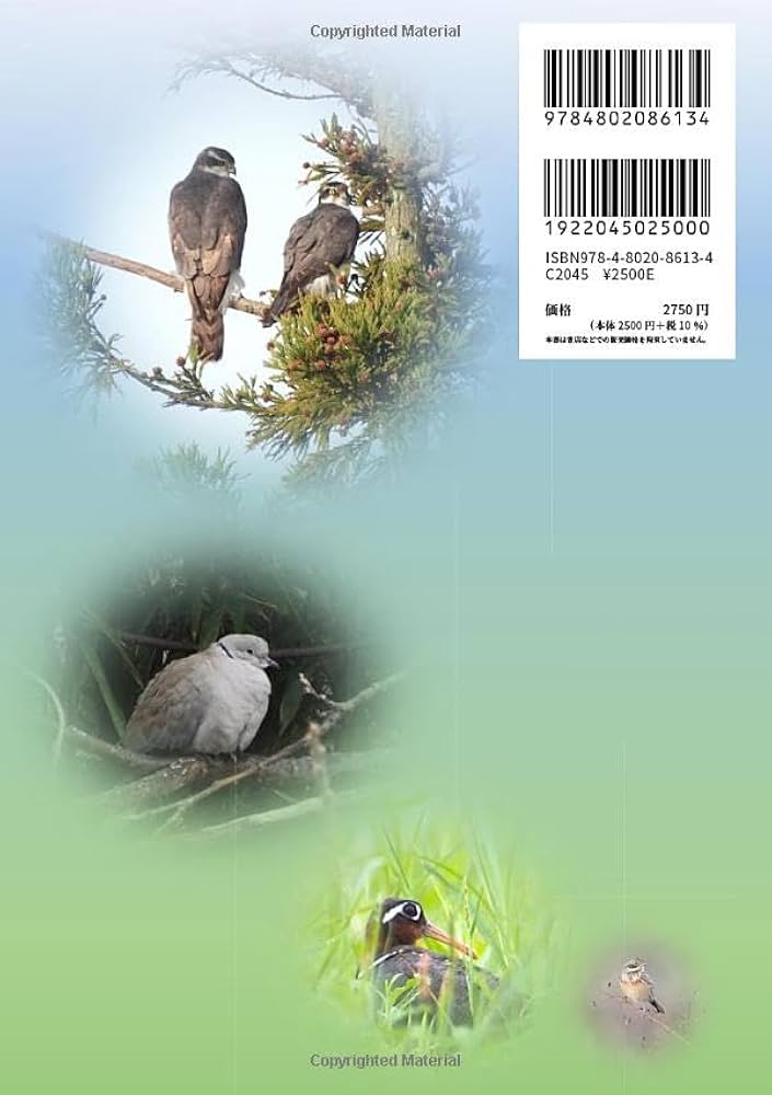 写真記録　日本鳥類狩猟法　堀内讃位　野鳥　限定版 写真記録 日本鳥類狩猟法 堀内讃位 野鳥 限定版