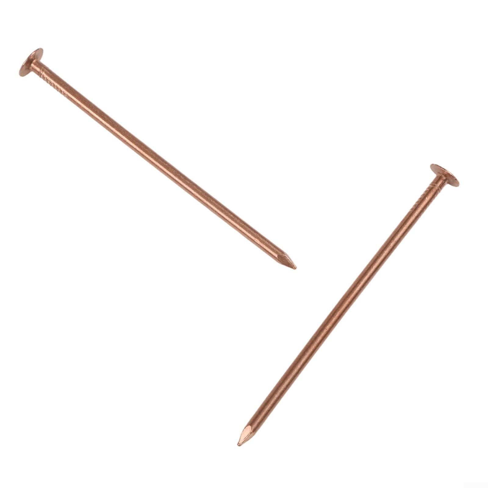 Tree Stump Killer Copper Nails, 20PCS For Effective Root Control, Quick Action Solution For Elimination And Management(E)