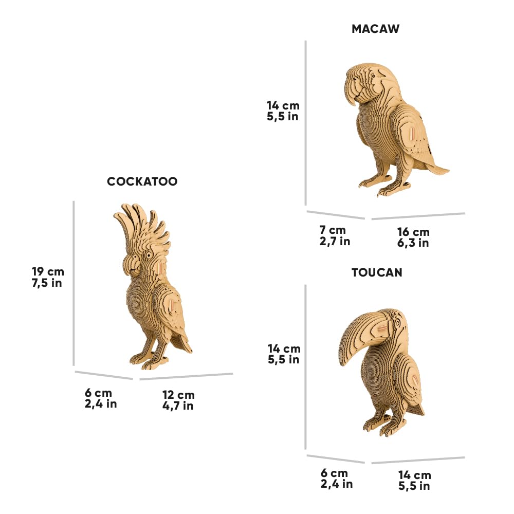 Tropische Vögel Trio 3D-Puzzle aus Karton – Bausatz 3 Modelle