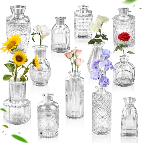 Mini Vasen Set, 12 Stück Kleine Vasen Kleine Glasvase Vintage Deko kleine Die Väsern für Tischdeko Vintage, für Tischdeko Mittelstücke, Hochzeitsdekorationen Transparen