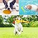 MAISITOO 19-teiliges Set Hundeseilspielzeug, vermeidet Langeweile und Angst bei Welpen, Zahnungsset für kleine, mittelgroße und große Hunde, Baumwollseil, Quietschspielzeug, interaktives Kauspielzeug,