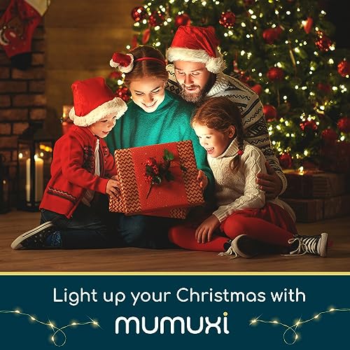 Mumuxi Led Fairy Lights Battery Operated Lights [16 Pack] Mason Jars Centerpiece Wedding Decor String Lights Battery Powered Lights, Christmas, Copper Wire Small Battery Fairy Lights (10Ft Warm White) #TOP4