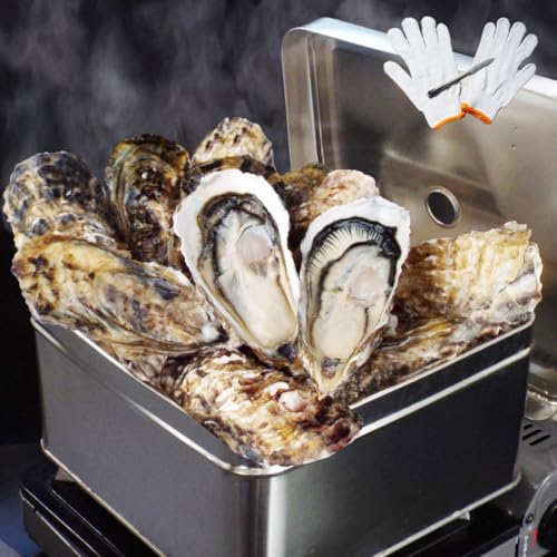 牡蠣 かき カキ 海鮮 殻付き 冷凍 カンカン焼き 2kg 軍手 ナイフ付き 国産 無選別 oyster アヒージョ カキ殻 宮城県産 浜料理