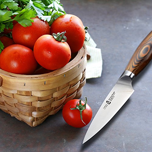 TUO Paring Knife - Peeling Knife - High Carbon German Stainless Steel - Rust Resistant Kitchen Cutlery - Luxurious Gift Box Included - 4 inch - Fiery Phoenix Series