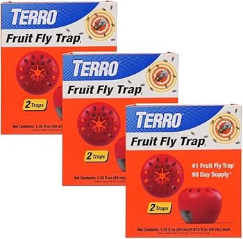 Amazon.com : Terro Fruit Fly Traps for Indoors (6 Pack) + 270 Days