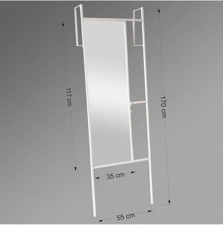 Neostill Decorative Length Mirror/Cloakroom A900