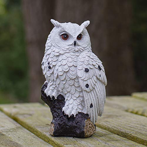 Estatua búho con brillo en rama 6 pulgadas miniatura 2