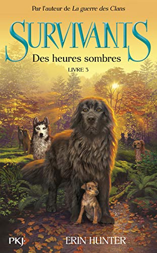 Survivants - tome 3 Des heures sombres [French] 226623336X Book Cover