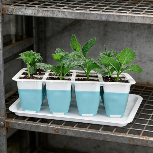 Kit de cultivo interior de silicona para evitar daños en raíces al trasplantar macetas 4