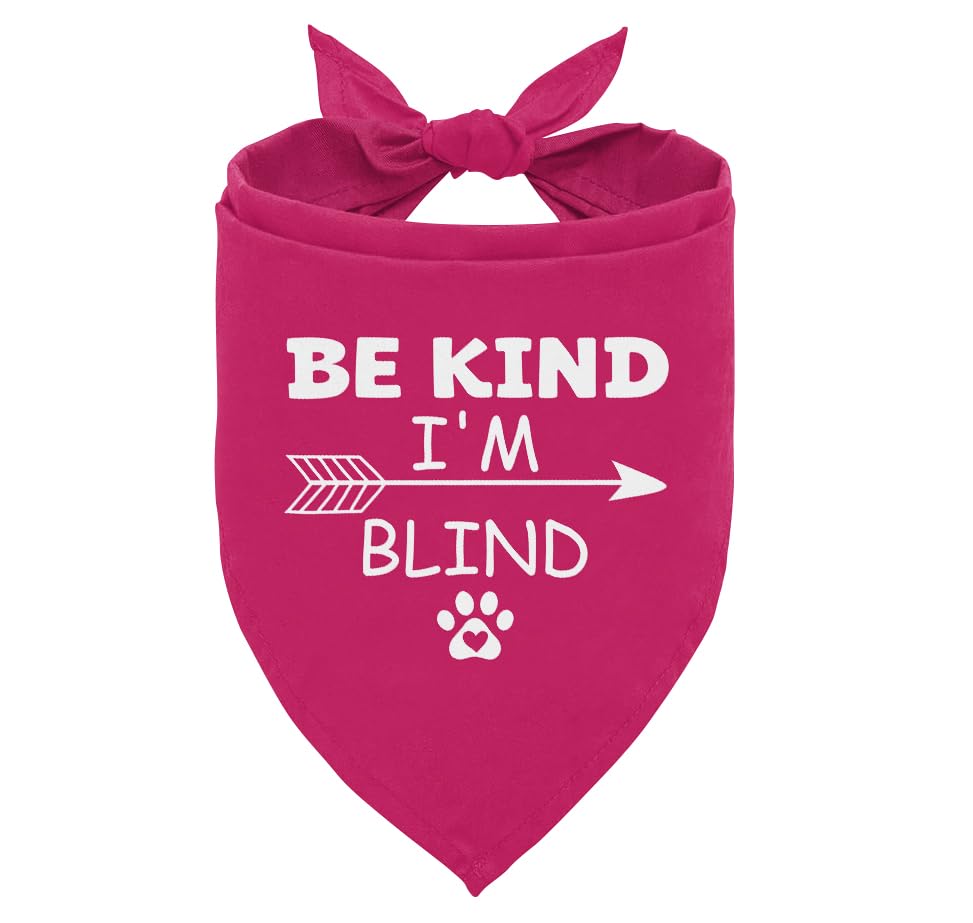 Be Kind I'm Blind Dog Bandana, Funny Puppy Bandana, Pet Dog Triangle Scarf, Pet Scarf Accessories for Dog Lovers, Blind Dog Accessories Photo Prop, Dog Bandana for Small Medium Dogs (C38)