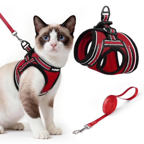 Image of rabbitgoo Cat Harness and Leash Set, Step-in Soft Vest, Red | Escape Proof, Lightweight, Easy-on & Adjustable, Hook & Loop with Buckle, Reflective, for Small Cats Walks, L