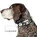Buckle-Down Seatbelt Buckle Dog Collar - NBC Jack Expressions/Halloween Elements Gray - 1