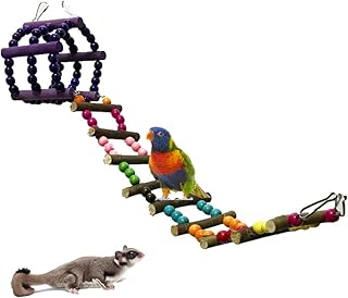 iplusmile Ring Toy Parrot Toys Ladders Swing Bird Ladder Rainbow Bridge Ladders Toy Hanging Pet Bird Cage for Small Parakeets Cockatiels Lovebirds Conures (Random Color) Cockatiel Toys