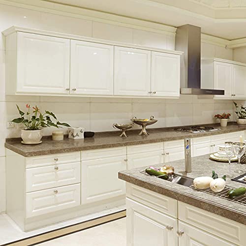 SDHFSGN 6 Pezzi Pomelli per Mobili Argento in