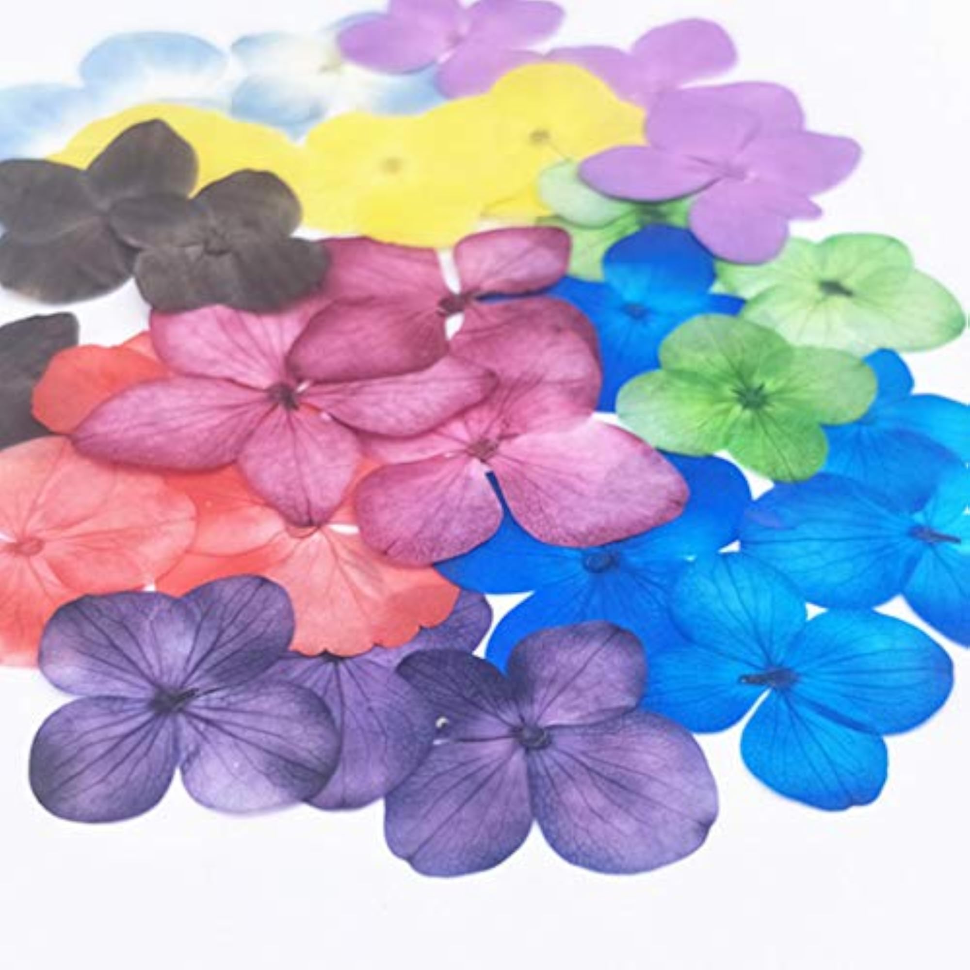 12PCS Pressed Flowers Hydrangea Dried Flowers for Makeup