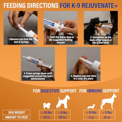 K9 Rejuvenate+ Canine Oral Paste (60g Oral Syringe, Pack of 1) Digestive and Immune Support for Dogs – Dog Supplements for Digestion K9 Rejuvenate+ Canine Oral Paste (60g Oral Syringe, Pack of 1) Digestive and Immune Support for Dogs – Dog Supplements for Digestion