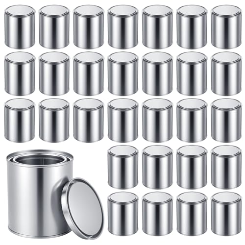 30 Pcs 12 Oz Empty Paint Cans with Lids, 3.3 x 3.7 Inch Paint Storage Containers with Lids, Small Bucket with Lid Multipurpose for Painting, Arts, Crafts, DIY Decor, Supply Storage (Silver)