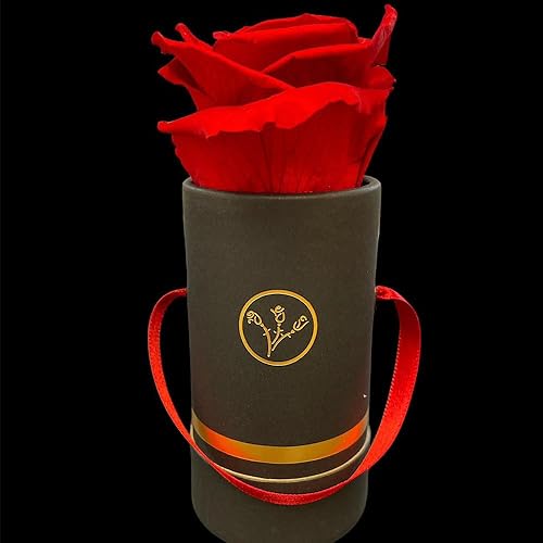 Miniatura 5 de A ARAGÓN Rosas preservadas auténticas 100% naturales, flores colombianas preservadas hechas a mano con aroma a rosa natural, perfectas para San