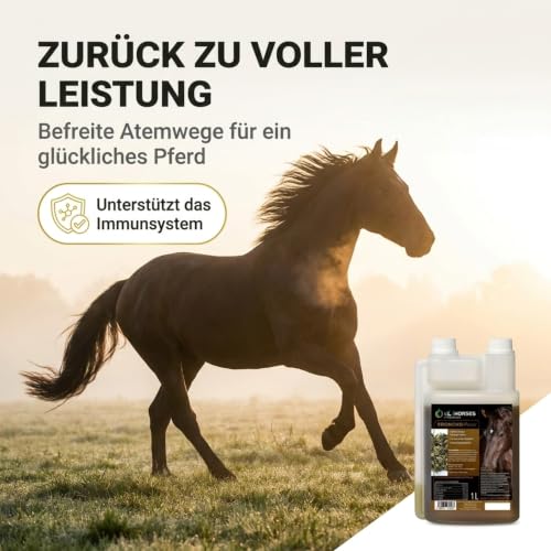 Kräuterland Broncho Power Pferde 1Liter (1000ml) Bronchial-Elixier