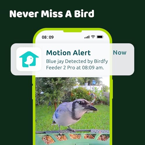 Birdfy 2 Smart Bird Feeder with Camera, Dual-Lens (2K+1080P) Camera for Live Streaming & Close-Up Photos, AI Identifies Bird Species, Solar-Powered Backyard Birdwatching Gift